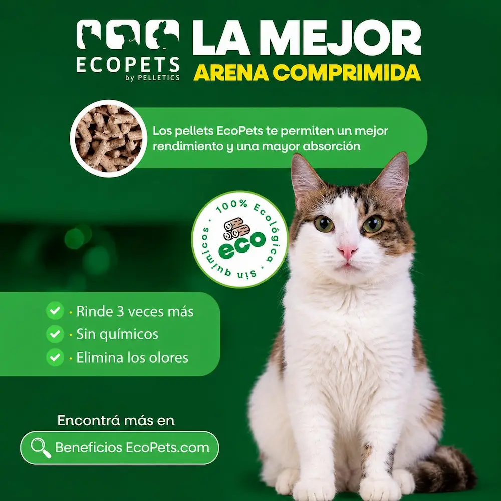 Gato feliz con Arena Ecológica Ecopets